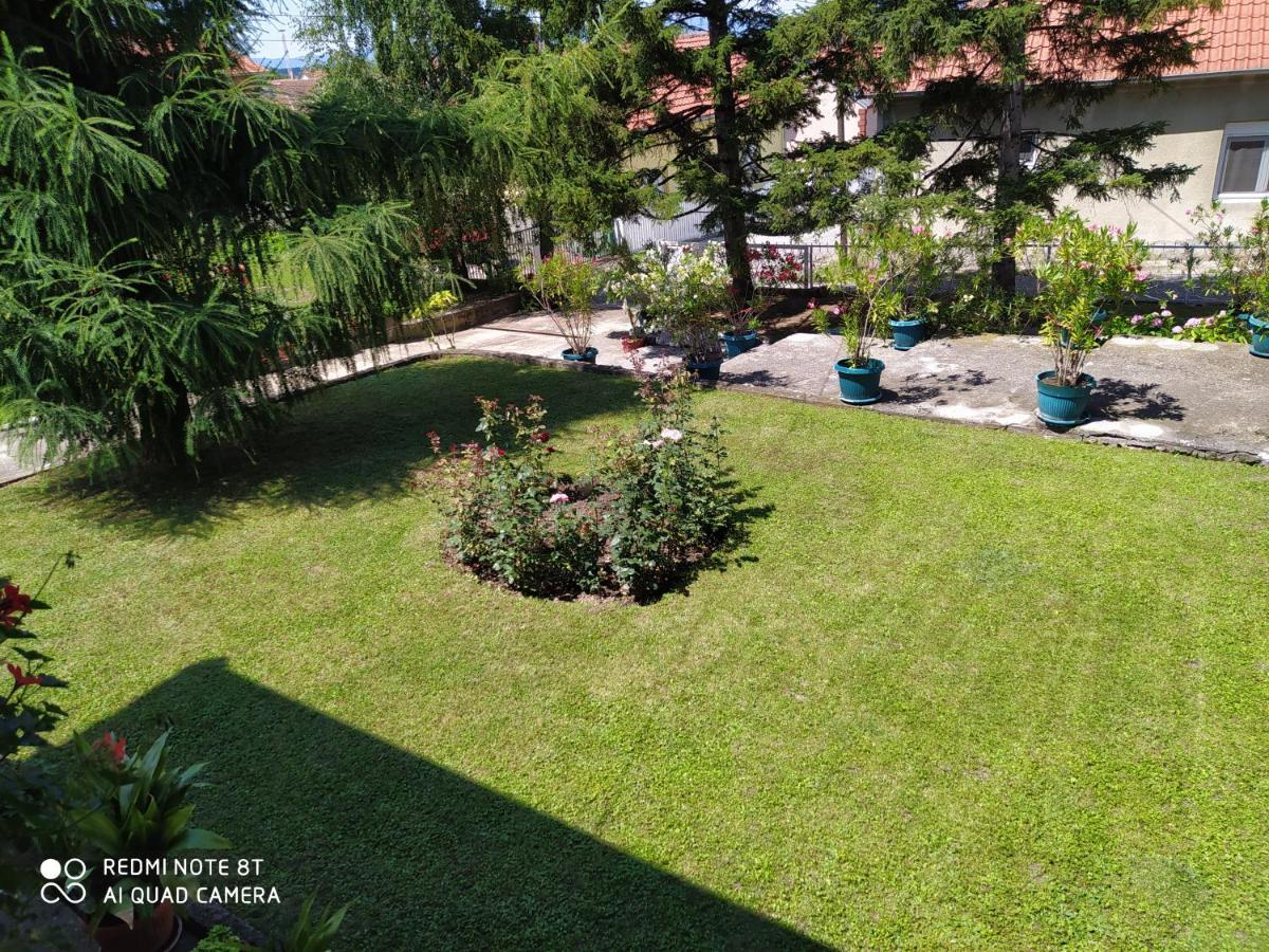 Apartment & Rooms Aleksandar Голубац Екстериор снимка