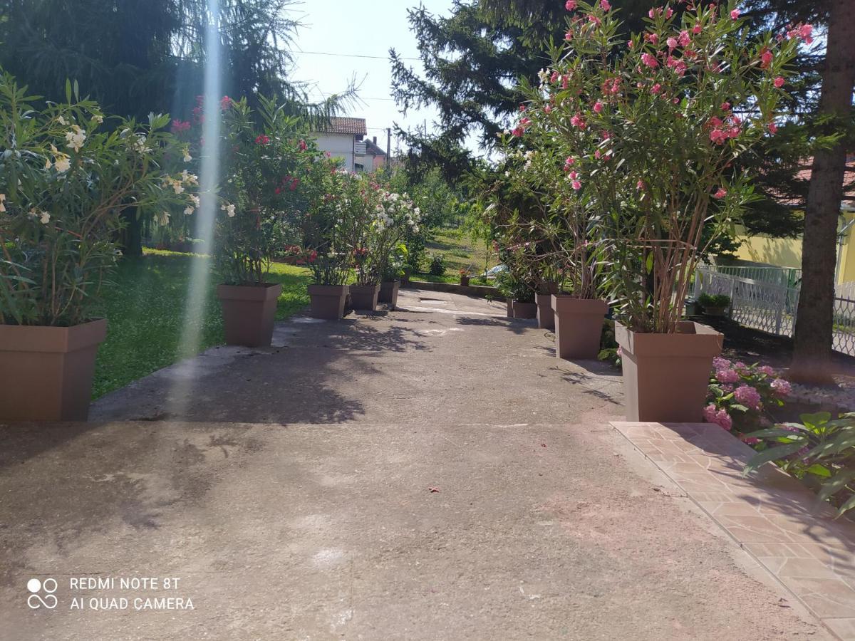 Apartment & Rooms Aleksandar Голубац Екстериор снимка